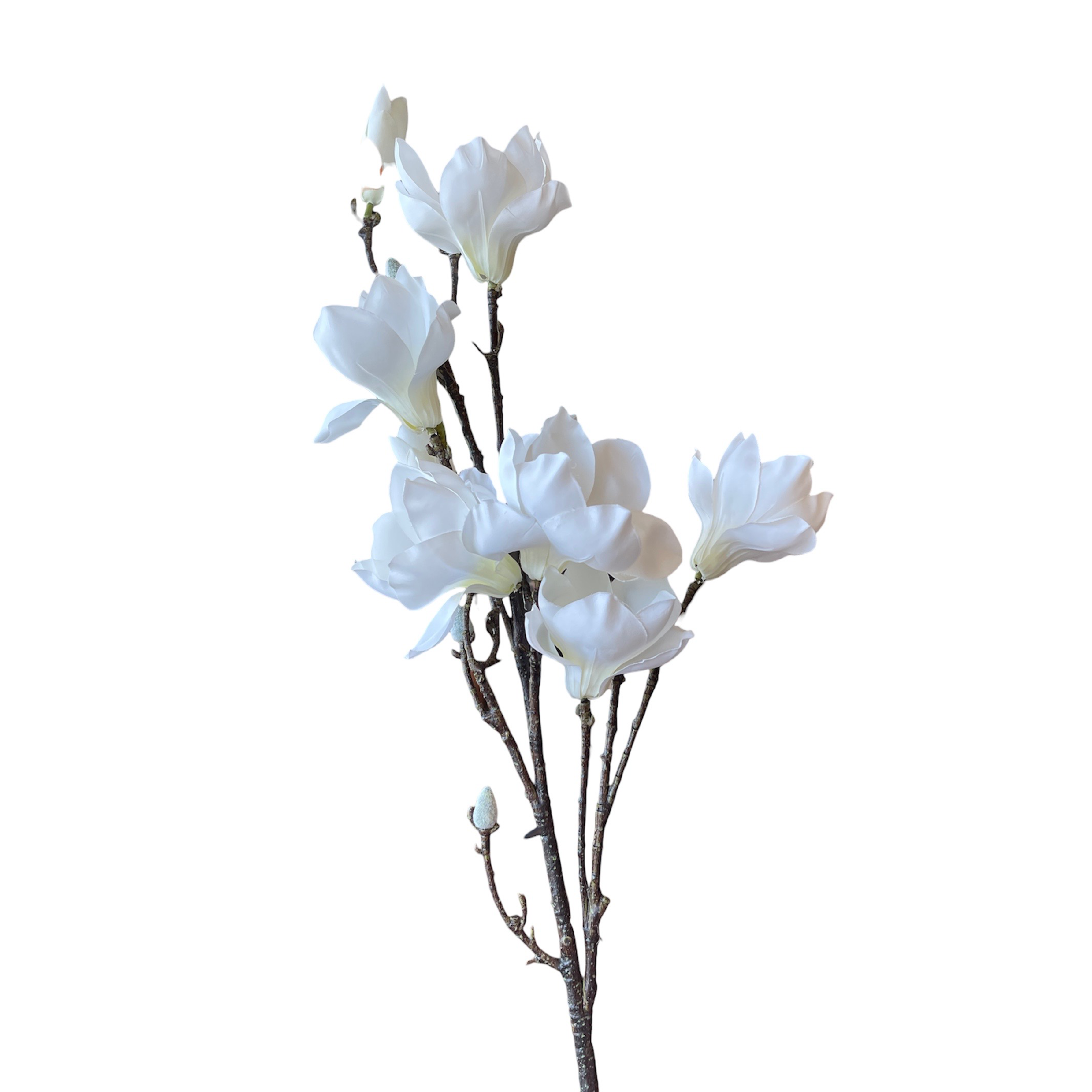 VARA DE MAGNOLIA CREMA